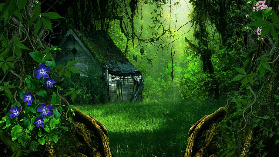 Ngôi nhà trong rừng