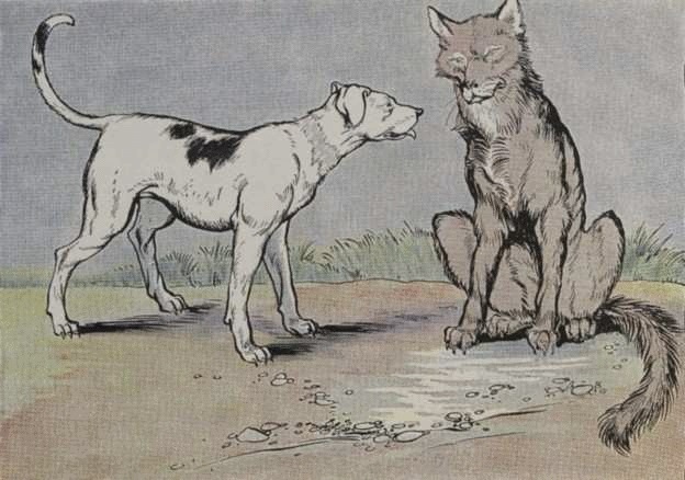 Chuyện về chó sói và chó nhà
