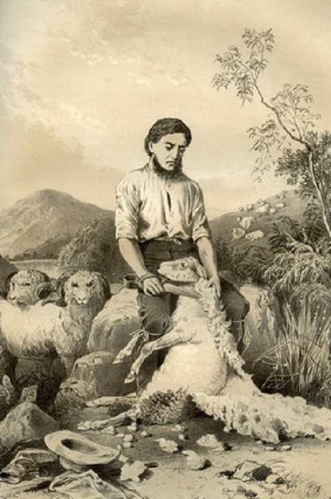 Người xén lông cừu
