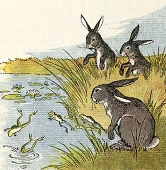 Thỏ và ếch