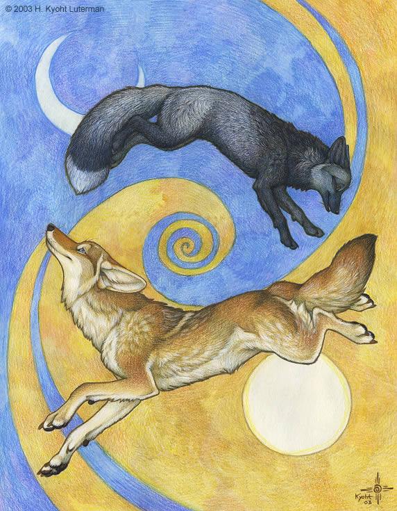 Coyote và Silver Fox