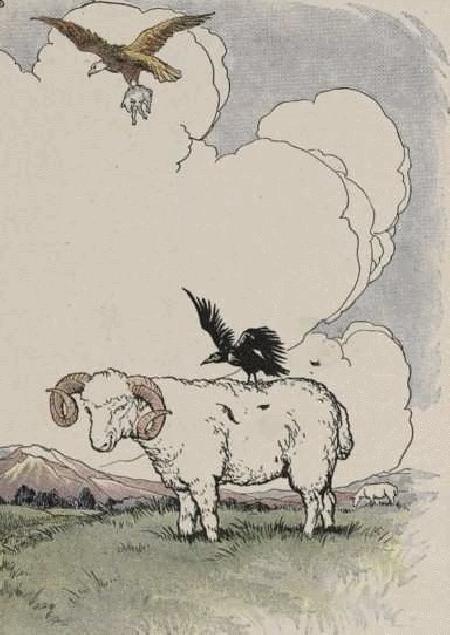 Đại bàng, con quạ và người chăn cừu