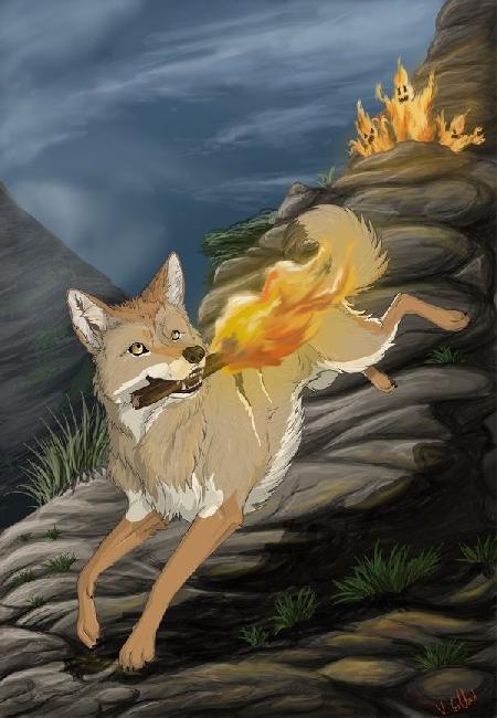 Coyote trộm lửa cho loài người